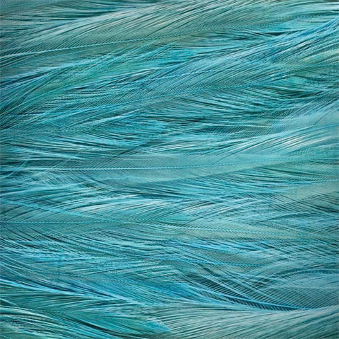 Feather Animal Print Surface Book 2 13.5in Skin